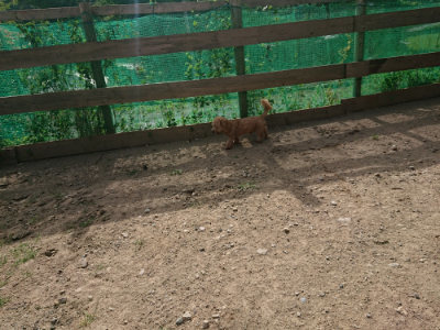 f:id:roukenhome-ann:20190808052138j:plain f:id:roukenhome-ann:20190808052138j:plain