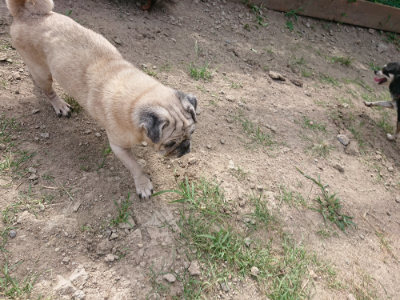 f:id:roukenhome-ann:20190808052219j:plain f:id:roukenhome-ann:20190808052219j:plain