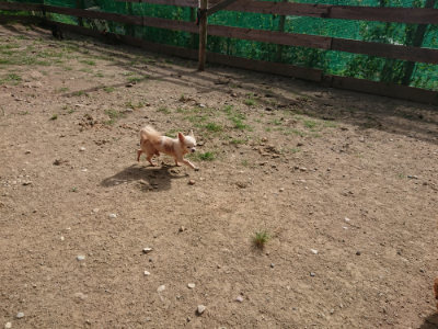 f:id:roukenhome-ann:20190808052237j:plain f:id:roukenhome-ann:20190808052237j:plain