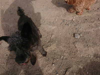 f:id:roukenhome-ann:20190808052318j:plain f:id:roukenhome-ann:20190808052318j:plain