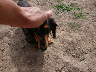 f:id:roukenhome-ann:20190808052348j:plain f:id:roukenhome-ann:20190808052348j:plain