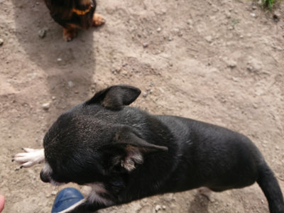 f:id:roukenhome-ann:20190808052352j:plain f:id:roukenhome-ann:20190808052352j:plain