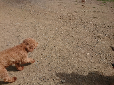 f:id:roukenhome-ann:20190808052429j:plain f:id:roukenhome-ann:20190808052429j:plain