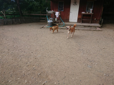 f:id:roukenhome-ann:20190808052435j:plain f:id:roukenhome-ann:20190808052435j:plain