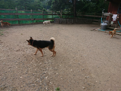 f:id:roukenhome-ann:20190808052448j:plain f:id:roukenhome-ann:20190808052448j:plain