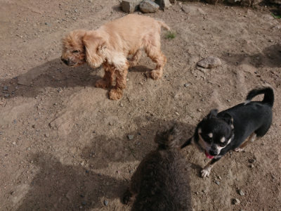 f:id:roukenhome-ann:20190808052453j:plain f:id:roukenhome-ann:20190808052453j:plain