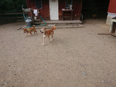 f:id:roukenhome-ann:20190808052503j:plain f:id:roukenhome-ann:20190808052503j:plain