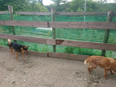 f:id:roukenhome-ann:20190808071244j:plain f:id:roukenhome-ann:20190808071244j:plain