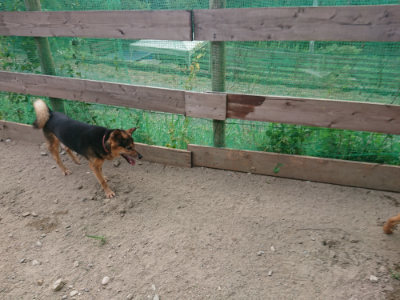 f:id:roukenhome-ann:20190808071255j:plain f:id:roukenhome-ann:20190808071255j:plain