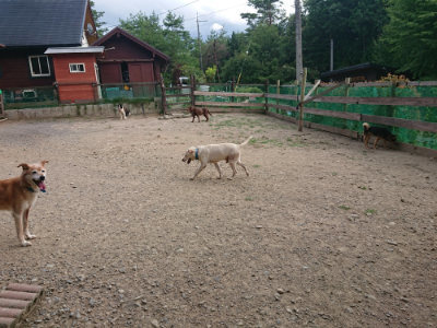 f:id:roukenhome-ann:20190808071349j:plain f:id:roukenhome-ann:20190808071349j:plain