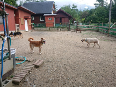 f:id:roukenhome-ann:20190808071446j:plain f:id:roukenhome-ann:20190808071446j:plain