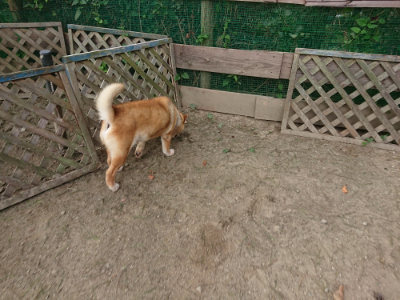 f:id:roukenhome-ann:20190808071631j:plain f:id:roukenhome-ann:20190808071631j:plain