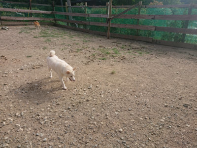 f:id:roukenhome-ann:20190808071838j:plain f:id:roukenhome-ann:20190808071838j:plain