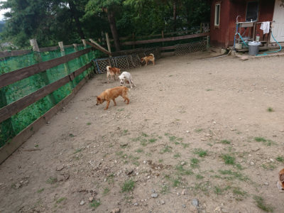 f:id:roukenhome-ann:20190808072149j:plain f:id:roukenhome-ann:20190808072149j:plain