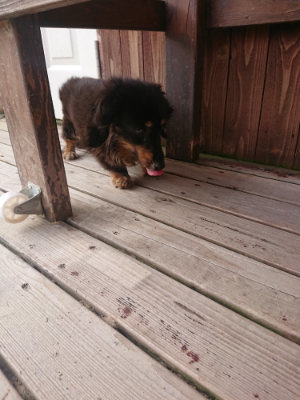 f:id:roukenhome-ann:20190808072522j:plain f:id:roukenhome-ann:20190808072522j:plain