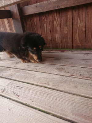 f:id:roukenhome-ann:20190808072748j:plain f:id:roukenhome-ann:20190808072748j:plain