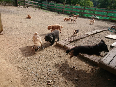 f:id:roukenhome-ann:20190808072857j:plain f:id:roukenhome-ann:20190808072857j:plain