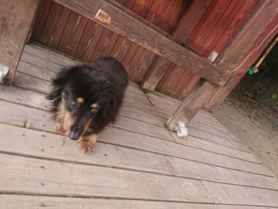 f:id:roukenhome-ann:20190808073136j:plain f:id:roukenhome-ann:20190808073136j:plain