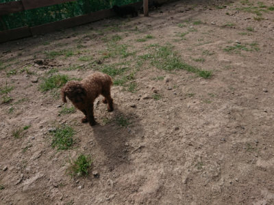 f:id:roukenhome-ann:20190808082038j:plain f:id:roukenhome-ann:20190808082038j:plain