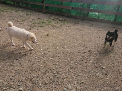 f:id:roukenhome-ann:20190808082058j:plain f:id:roukenhome-ann:20190808082058j:plain