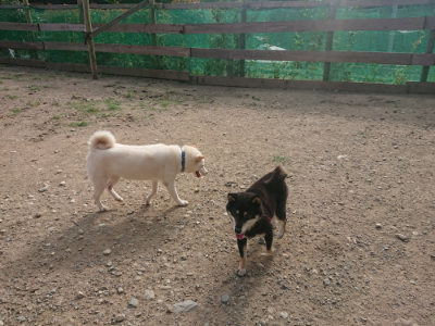f:id:roukenhome-ann:20190808082105j:plain f:id:roukenhome-ann:20190808082105j:plain