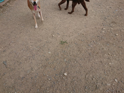 f:id:roukenhome-ann:20190808082111j:plain f:id:roukenhome-ann:20190808082111j:plain