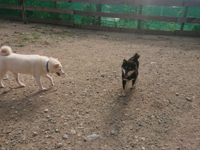 f:id:roukenhome-ann:20190808082116j:plain f:id:roukenhome-ann:20190808082116j:plain