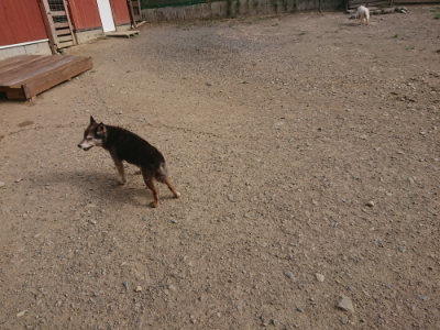 f:id:roukenhome-ann:20190808082121j:plain f:id:roukenhome-ann:20190808082121j:plain