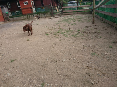 f:id:roukenhome-ann:20190808082127j:plain f:id:roukenhome-ann:20190808082127j:plain