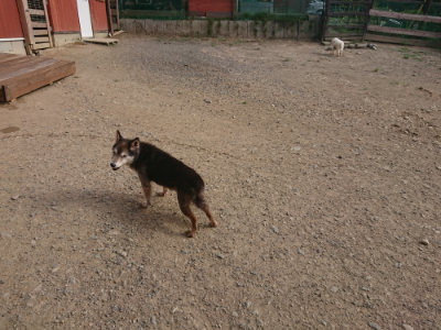 f:id:roukenhome-ann:20190808082156j:plain f:id:roukenhome-ann:20190808082156j:plain