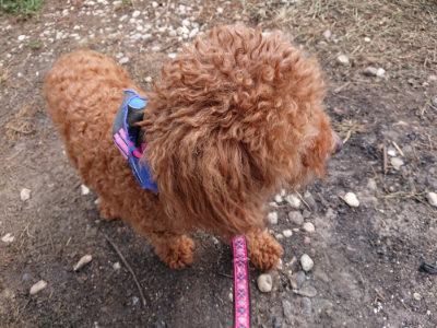 f:id:roukenhome-ann:20190808082222j:plain f:id:roukenhome-ann:20190808082222j:plain