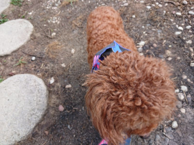 f:id:roukenhome-ann:20190808082240j:plain f:id:roukenhome-ann:20190808082240j:plain