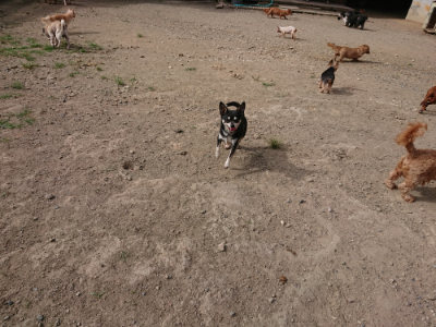 f:id:roukenhome-ann:20190808082257j:plain f:id:roukenhome-ann:20190808082257j:plain