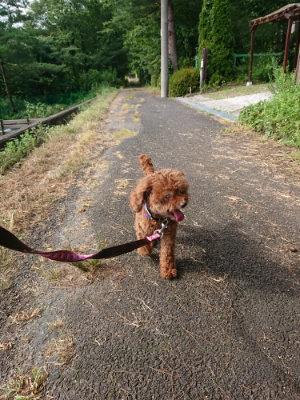 f:id:roukenhome-ann:20190808082309j:plain f:id:roukenhome-ann:20190808082309j:plain