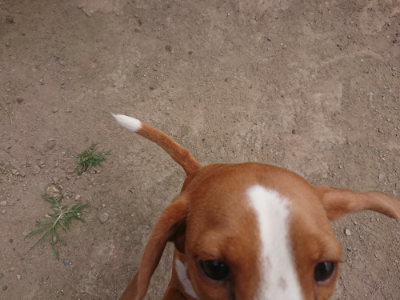 f:id:roukenhome-ann:20190808082319j:plain f:id:roukenhome-ann:20190808082319j:plain