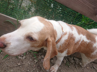 f:id:roukenhome-ann:20190808082323j:plain f:id:roukenhome-ann:20190808082323j:plain