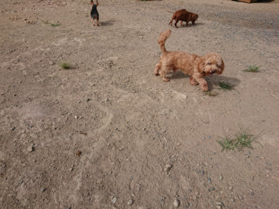 f:id:roukenhome-ann:20190808082328j:plain f:id:roukenhome-ann:20190808082328j:plain