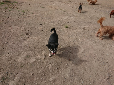 f:id:roukenhome-ann:20190808082339j:plain f:id:roukenhome-ann:20190808082339j:plain