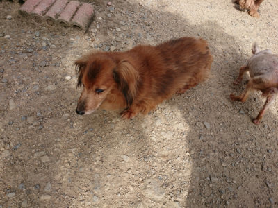 f:id:roukenhome-ann:20190808082618j:plain f:id:roukenhome-ann:20190808082618j:plain