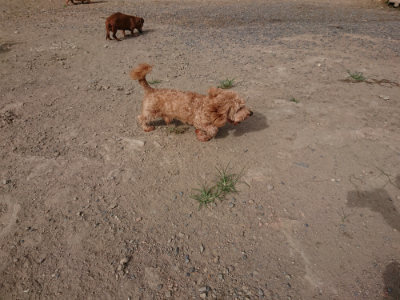 f:id:roukenhome-ann:20190808082639j:plain f:id:roukenhome-ann:20190808082639j:plain
