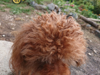 f:id:roukenhome-ann:20190808082649j:plain f:id:roukenhome-ann:20190808082649j:plain