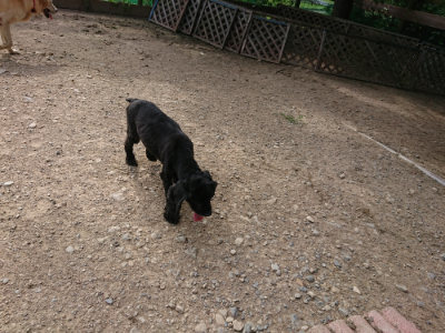 f:id:roukenhome-ann:20190808082714j:plain f:id:roukenhome-ann:20190808082714j:plain
