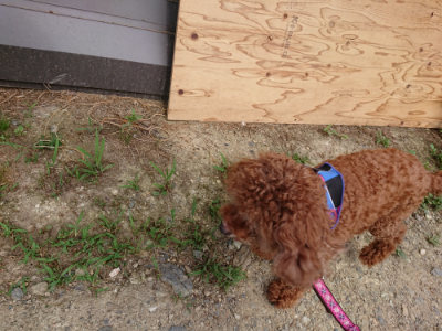 f:id:roukenhome-ann:20190808082719j:plain f:id:roukenhome-ann:20190808082719j:plain
