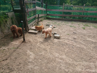 f:id:roukenhome-ann:20190808082725j:plain f:id:roukenhome-ann:20190808082725j:plain