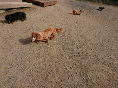 f:id:roukenhome-ann:20190808082739j:plain f:id:roukenhome-ann:20190808082739j:plain