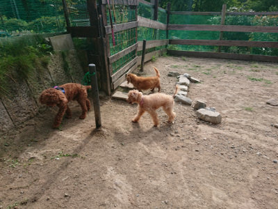 f:id:roukenhome-ann:20190808082745j:plain f:id:roukenhome-ann:20190808082745j:plain