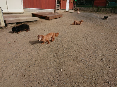 f:id:roukenhome-ann:20190808082750j:plain f:id:roukenhome-ann:20190808082750j:plain