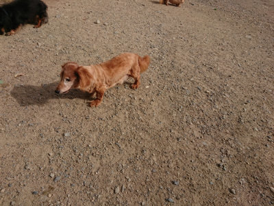 f:id:roukenhome-ann:20190808082835j:plain f:id:roukenhome-ann:20190808082835j:plain