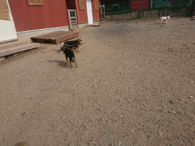 f:id:roukenhome-ann:20190808083219j:plain f:id:roukenhome-ann:20190808083219j:plain