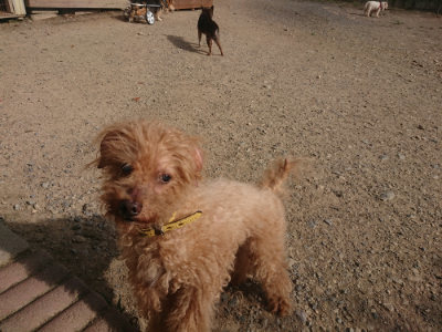 f:id:roukenhome-ann:20190808083746j:plain f:id:roukenhome-ann:20190808083746j:plain